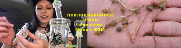 каннабис Алексеевка