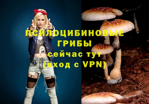 не бодяженный Алзамай