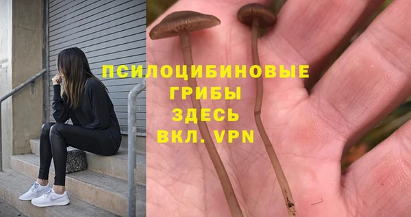не бодяженный Алзамай